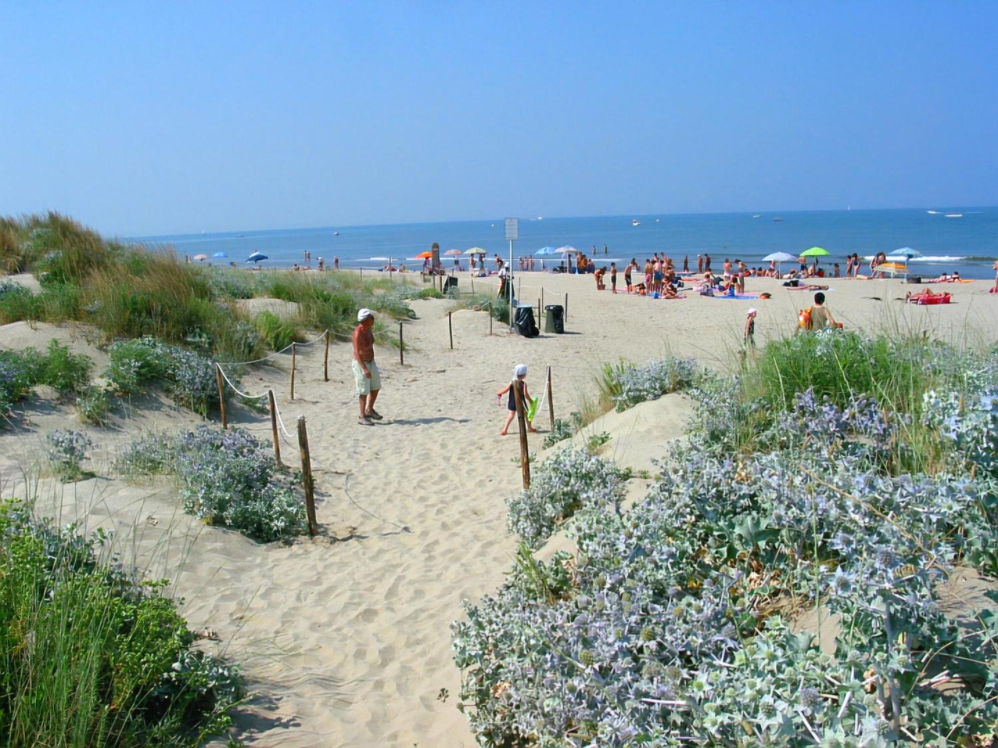 La Garitta - Villa Tra Pisa E Livorno Free Parking Ac Ngoại thất bức ảnh
